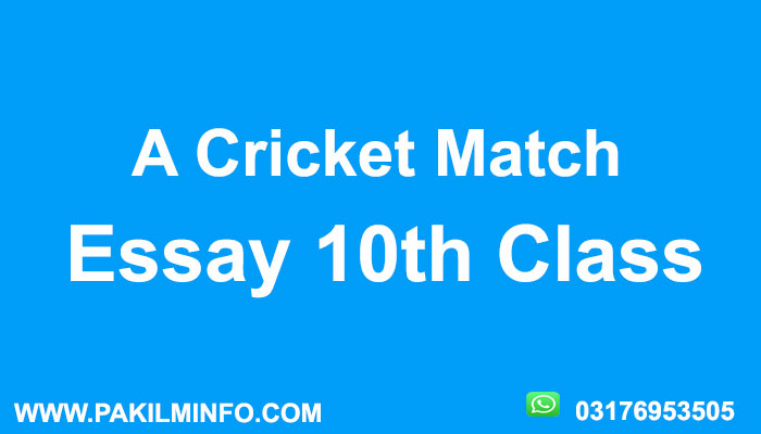 A Cricket Match Essay