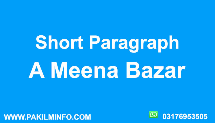 A Meena Bazaar Paragraph