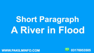 A River in Flood Paragraph