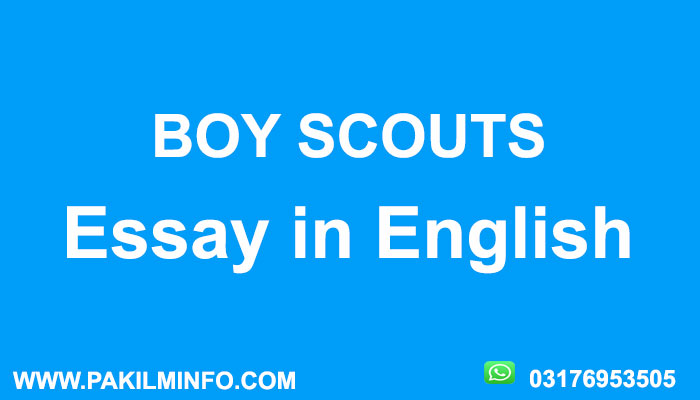 Boy Scouts Essay