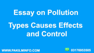Essay on Pollution