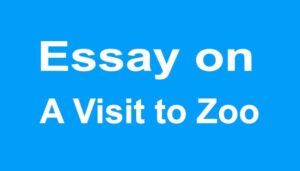 A Visit to A Zoo Essay