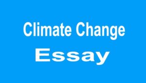 Climate Change Essay