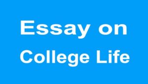 College Life Essay
