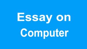 Computer Essay in English