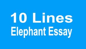 Elephant Essay in English 10 lines