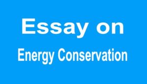 Energy Conservation Essay
