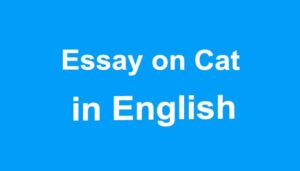 Essay on Cat