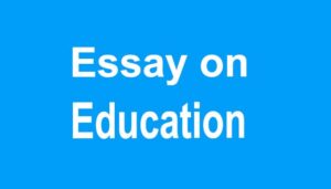 Essay on Education