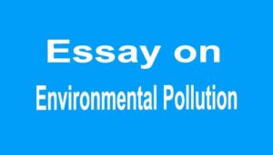 Essay on Environmental Pollution