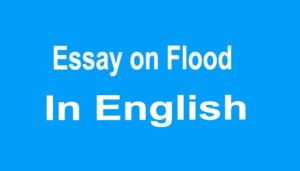 Essay on Flood