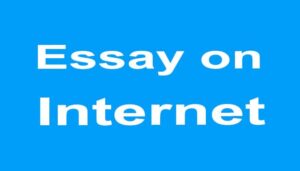 Essay on Internet