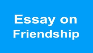 Essay on Friendship
