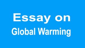 Global Warming Essay