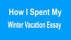 How I Spent My Winter Vacation Essay