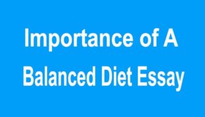 Importance of A Balanced Diet Essay