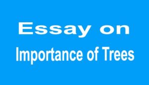 Importance of Trees Essay