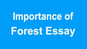 Importance of forest Essay