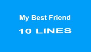 My Best Friend 10 Lines Essay
