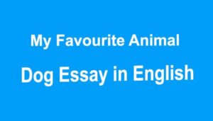 My Favourite Animal Dog Essay