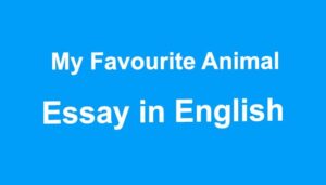Favourite Animal Essay