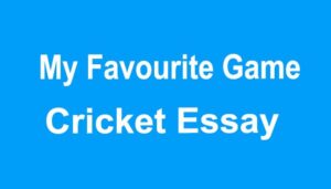 My Favourite Game Cricket Essay