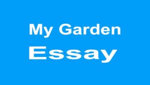 My Garden Essay