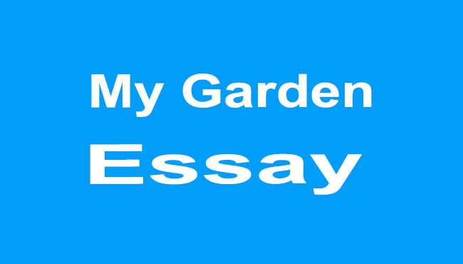 My Garden Essay
