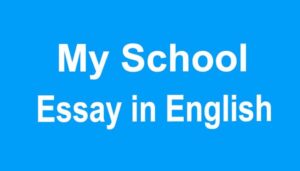 My School Essay in English