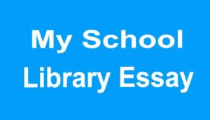 My School Library Essay