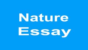 Essay on Nature