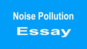 Noise Pollution Essay