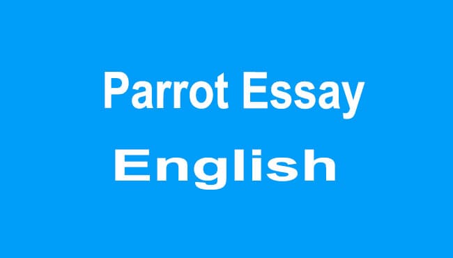 Parrot Essay in English