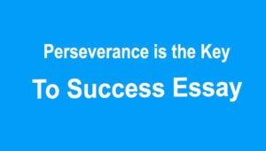 Perseverance is the Key to Success Essay