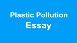 Plastic Pollution Essay