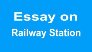 Railway Station Essay