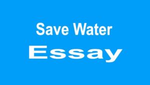 Save Water Essay