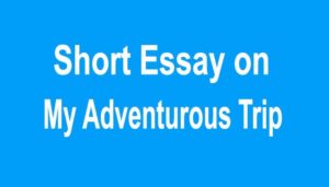 Short Essay on My Adventurous Trip