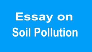 Soil Pollution Essay