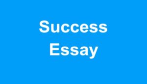 Success Essay