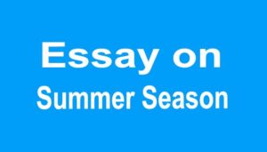 Essay on Summer Season