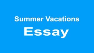 Summer Vacations Essay