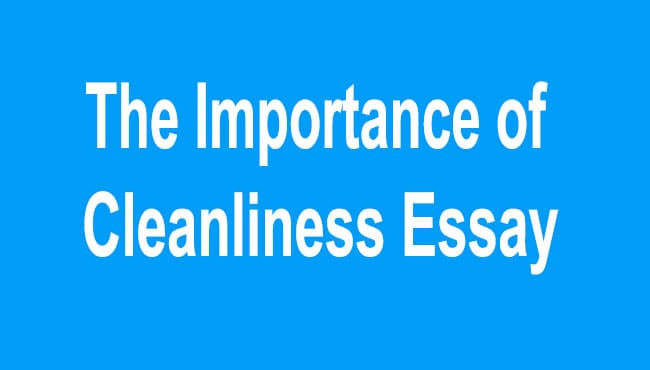 The Importance of Cleanliness Essay