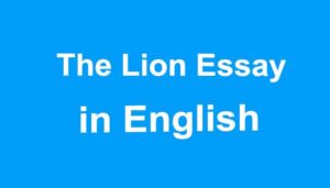 Essay on Lion
