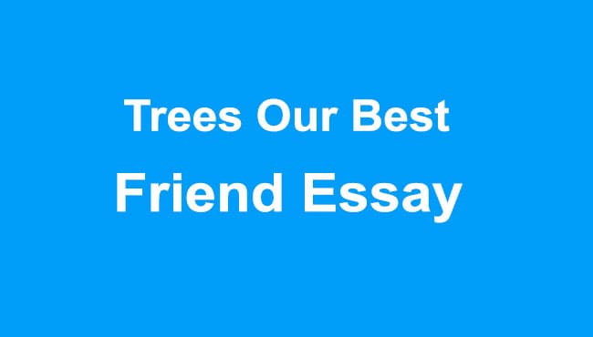 Trees Our Best Friend Essay