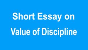 Value of Discipline Short Essay