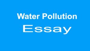 Water Pollution Essay