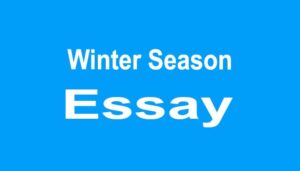 Winter Season Essay