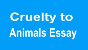 Cruelty to Animals Essay