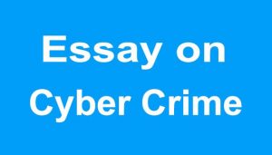 Essay on Cyber Crime